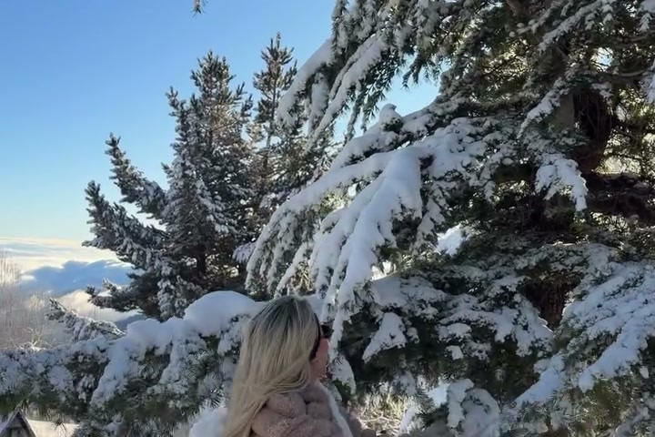 Árvores carregadas de neve pó bem soltinha em Farellones, num dia de sol.